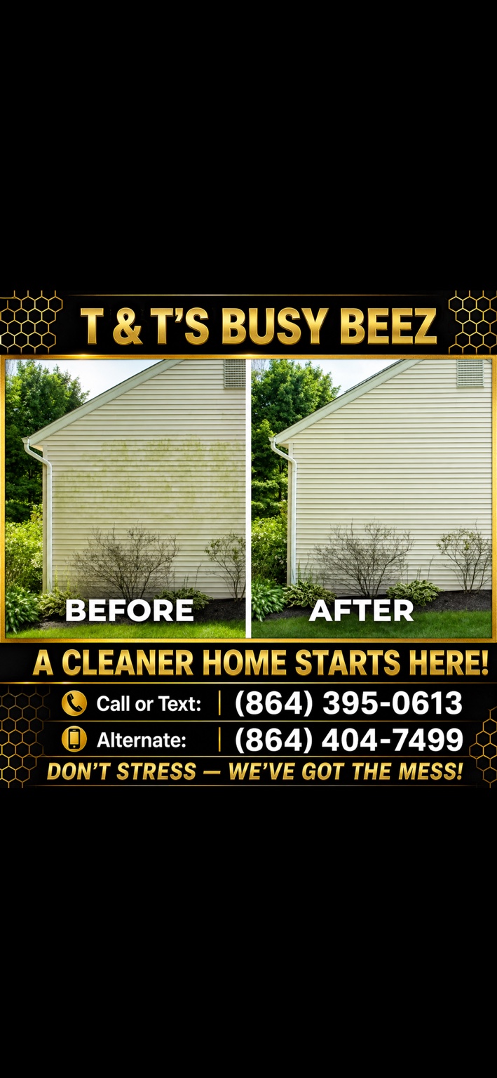 House soft washing before and after