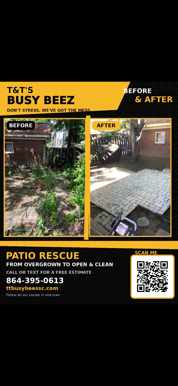 Patio rescue promotional poster