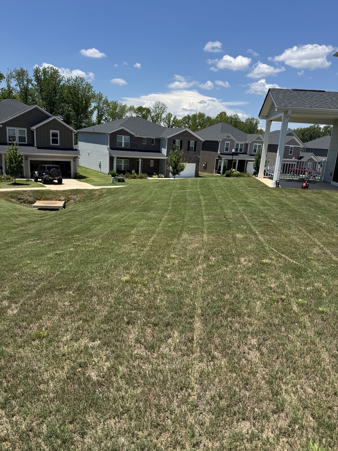 Maintained lawn