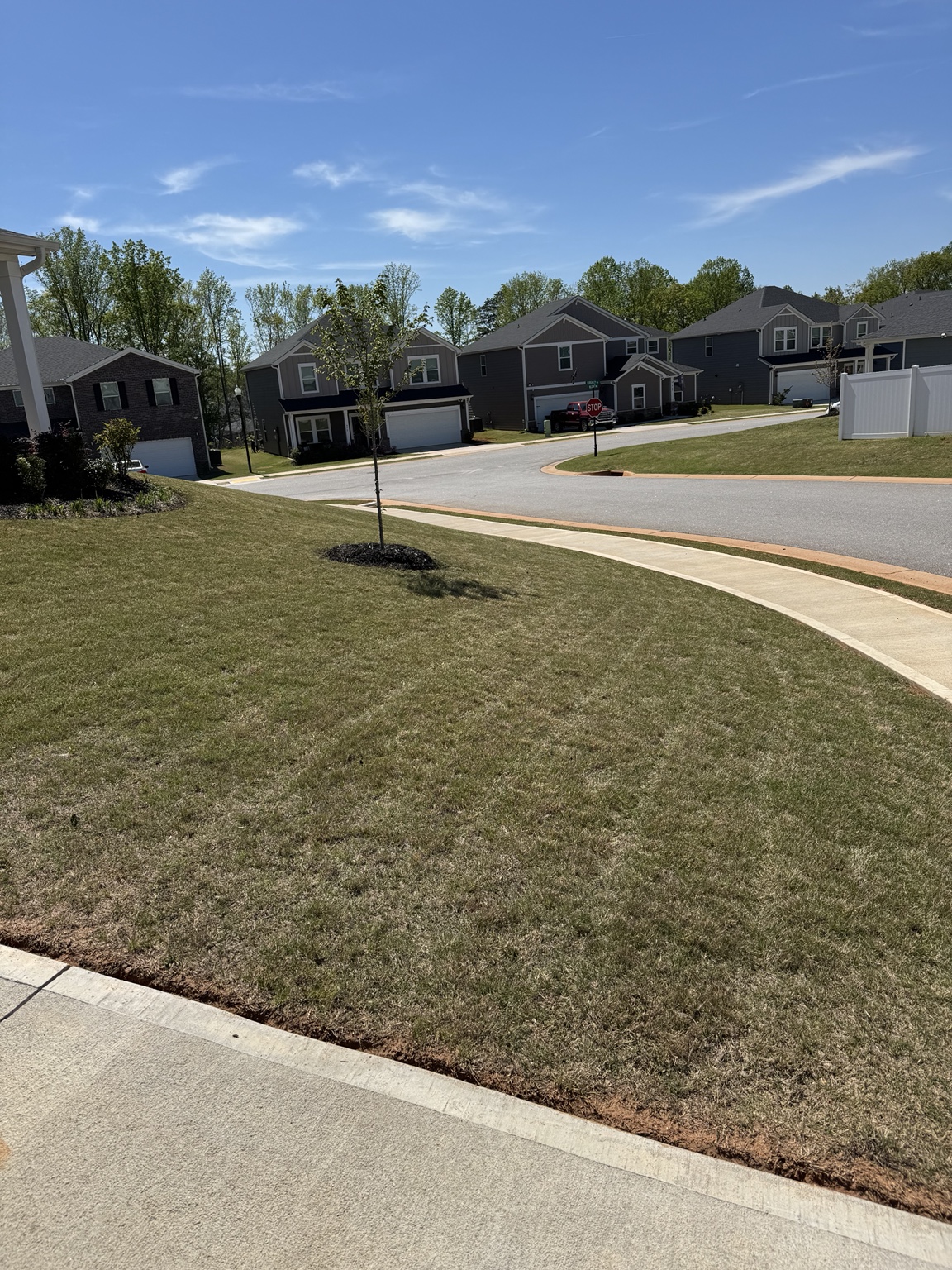 Clean residential lawn